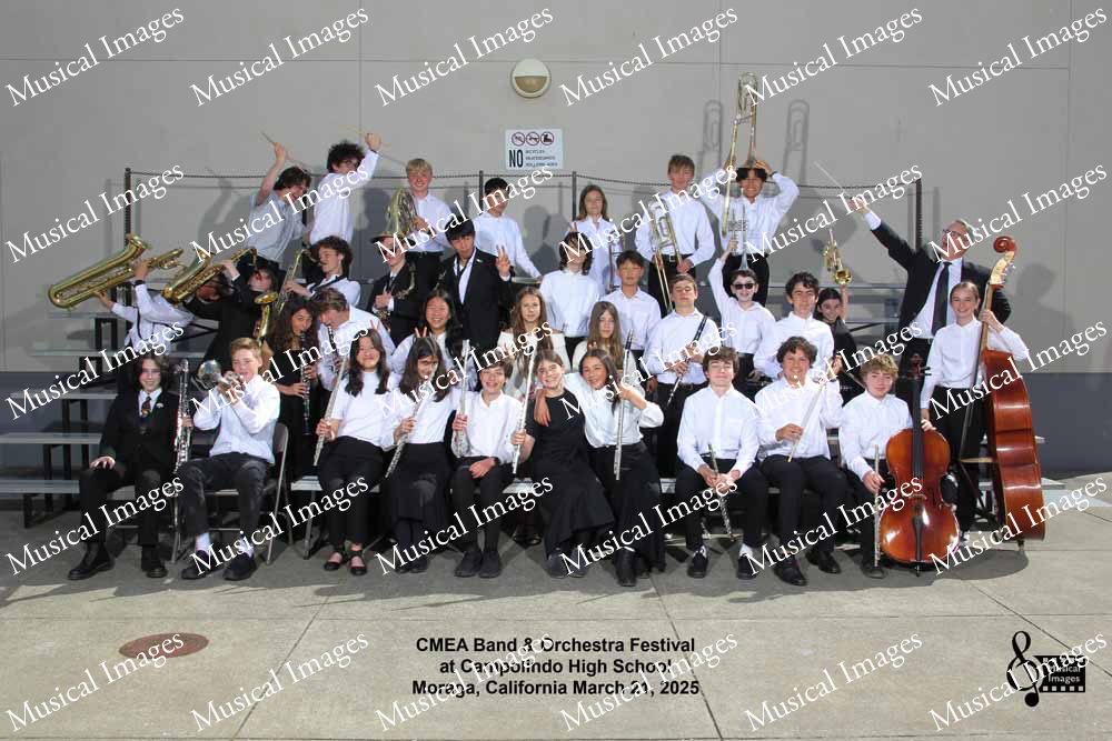 Musical Images
